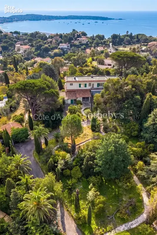 Super Cannes, terrain de 6 071 m² avec permis purgé pour deux villas vue mer - photo 14