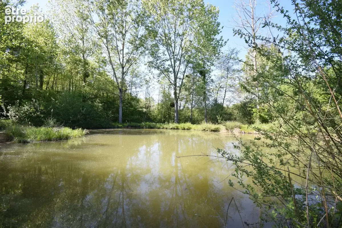 Maison 3 pièces 99 m² à vendre à Louhans (71500) - photo 7