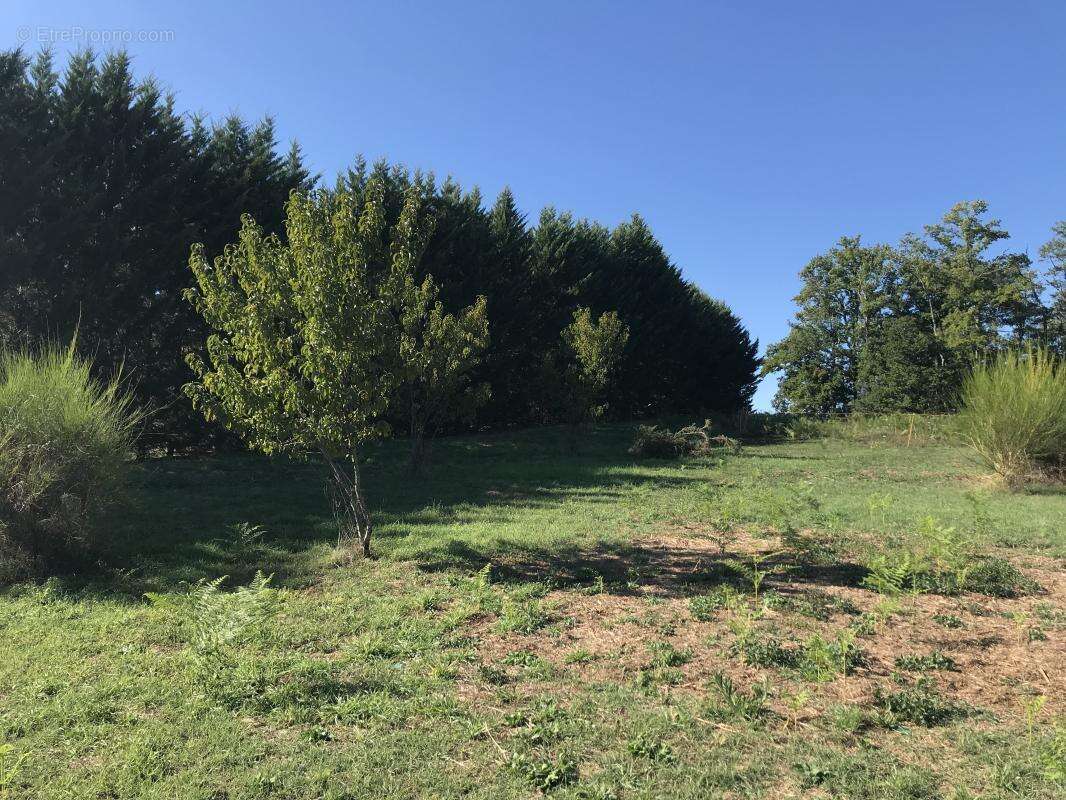 Terrain à GROLEJAC