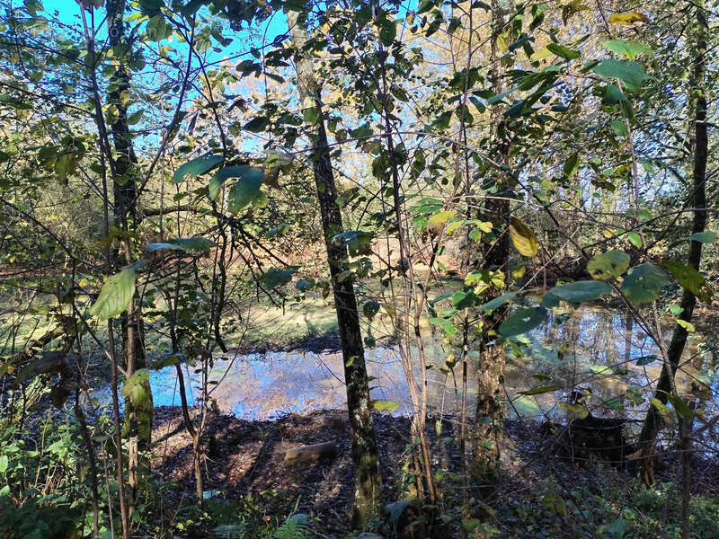 Terrain à AMOU