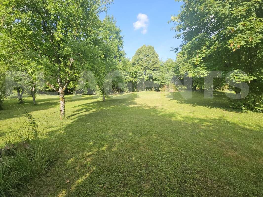 20250617_173756 - Terrain à BRIEULLES-SUR-BAR