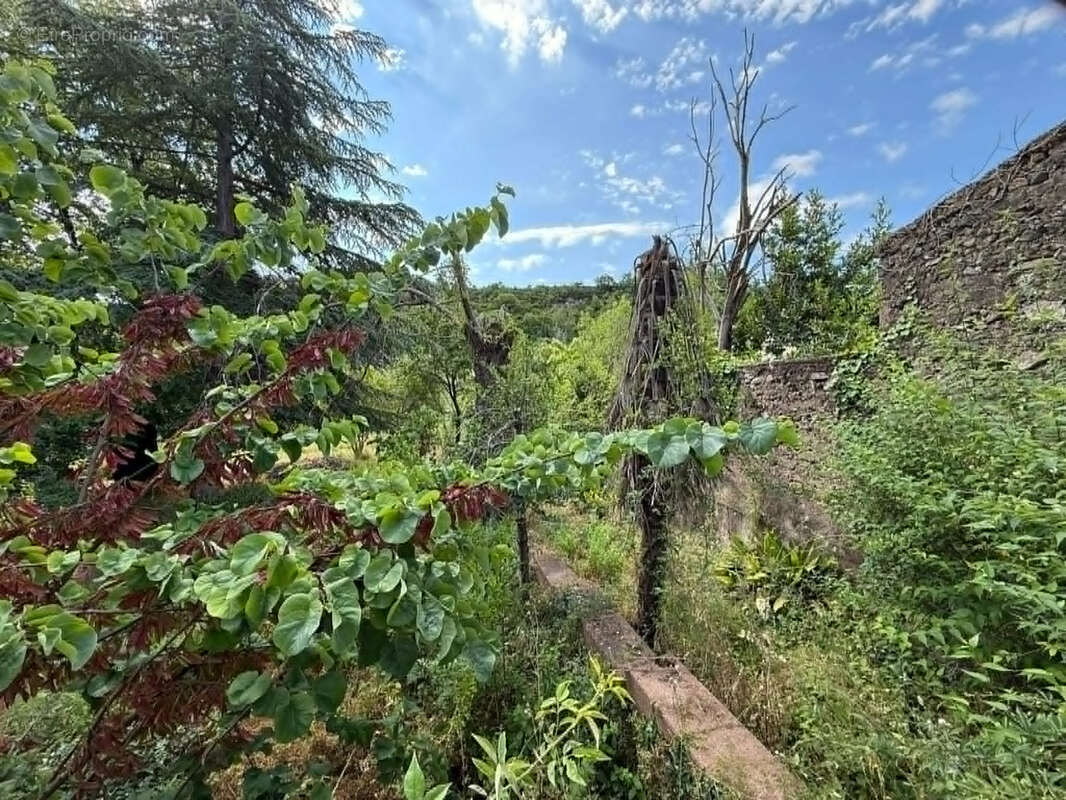 Terrain à bâtir de 2000m2 à Bédarieux - photo 4
