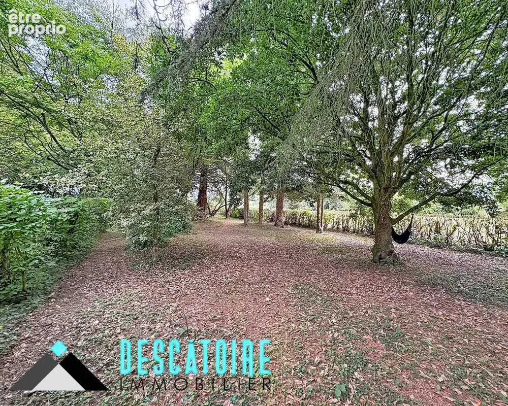 Propriété - photo 10