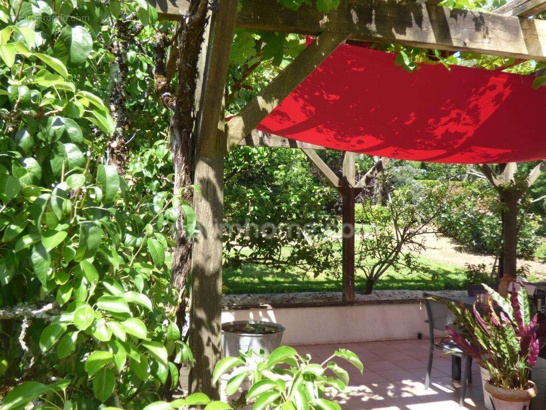 Maison 4 chambres, sous-sol et magnifique jardin - photo 11