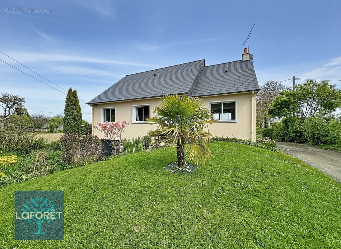 Maison à LA SELLE-EN-LUITRE