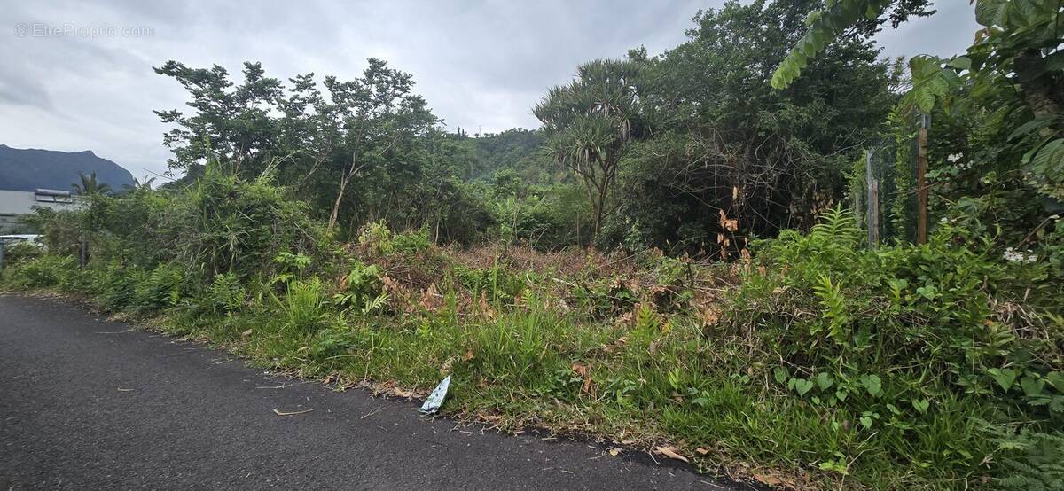 Terrain à SAINT-ANDRE