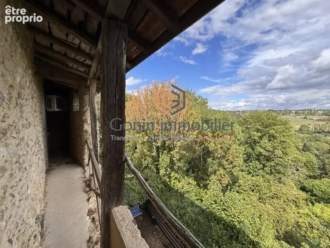 Pérouges — Demeure d'exception en pierre avec jardin, terrasse et accès au chemin de ronde - photo 16