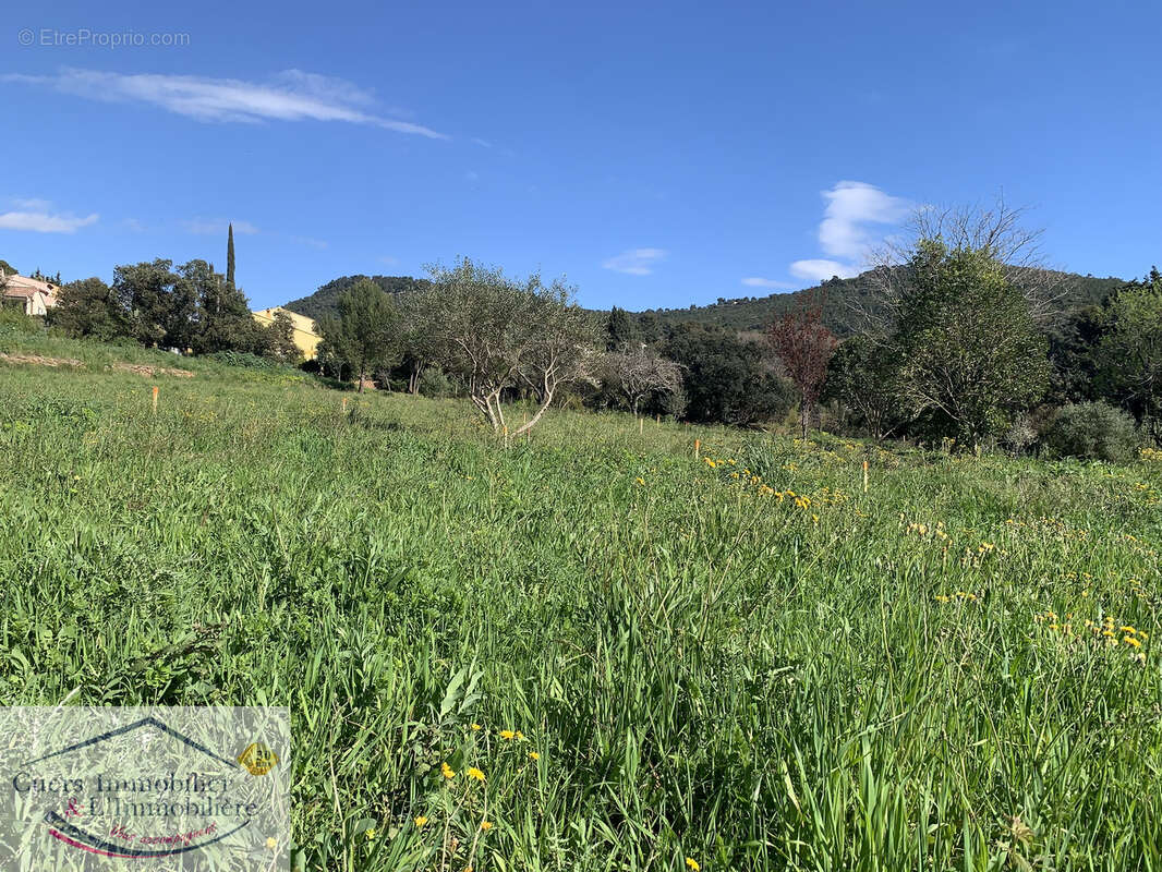 Terrain à LE PRADET