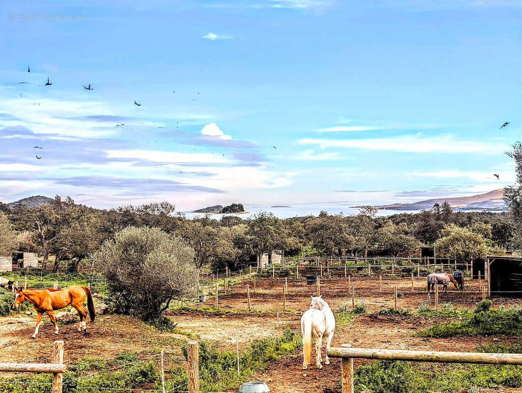 Maison à PORTO-VECCHIO
