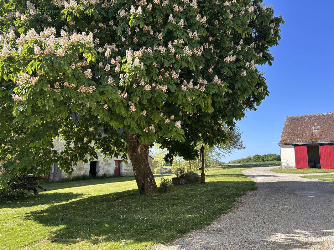 Maison à LOCHES