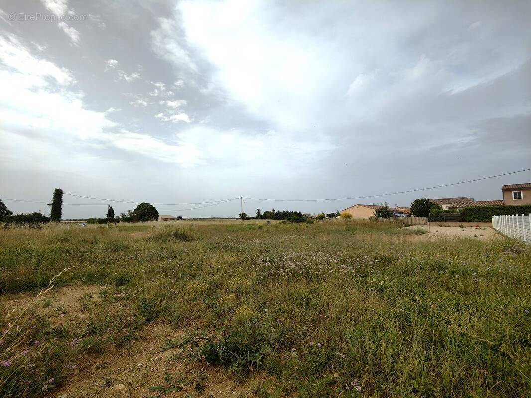 Terrain à PUIMOISSON