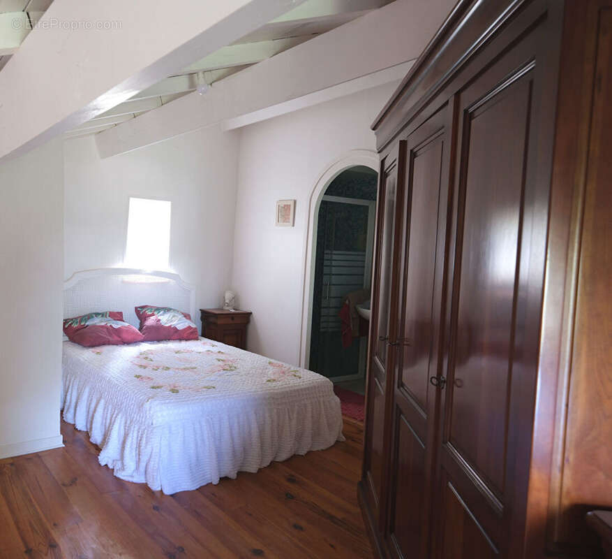 Maison Givors 3 pièce(s) 51,06 m2 et annexe aménagée 27,60 m² - Cadre verdoyant - Bien rare - photo 5