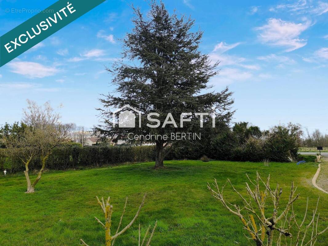 Photo 1 - Terrain à MONTRACOL