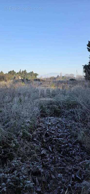 Terrain à JONQUERETTES