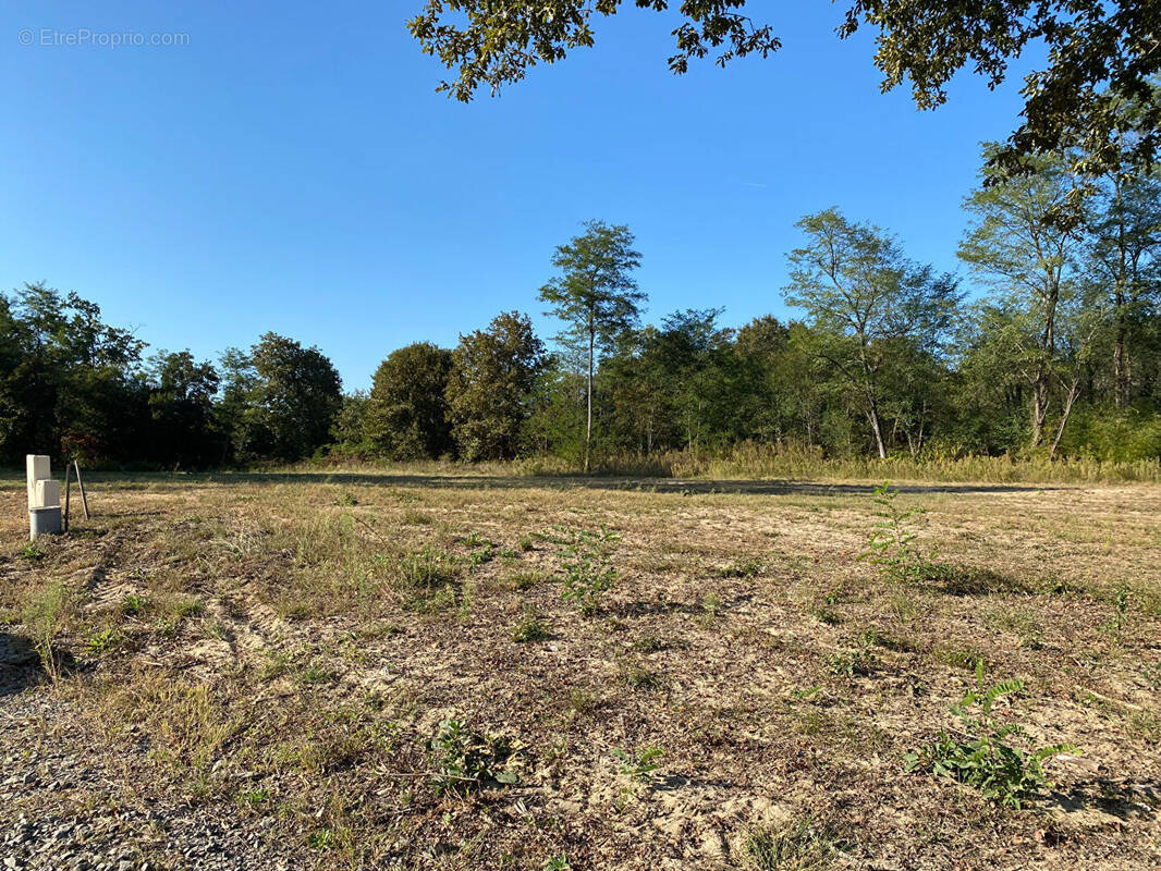 Terrain à RION-DES-LANDES