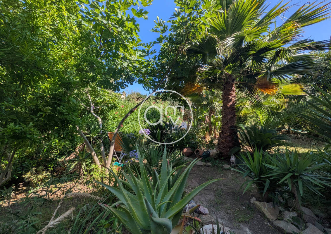 Appartement à LA LONDE-LES-MAURES