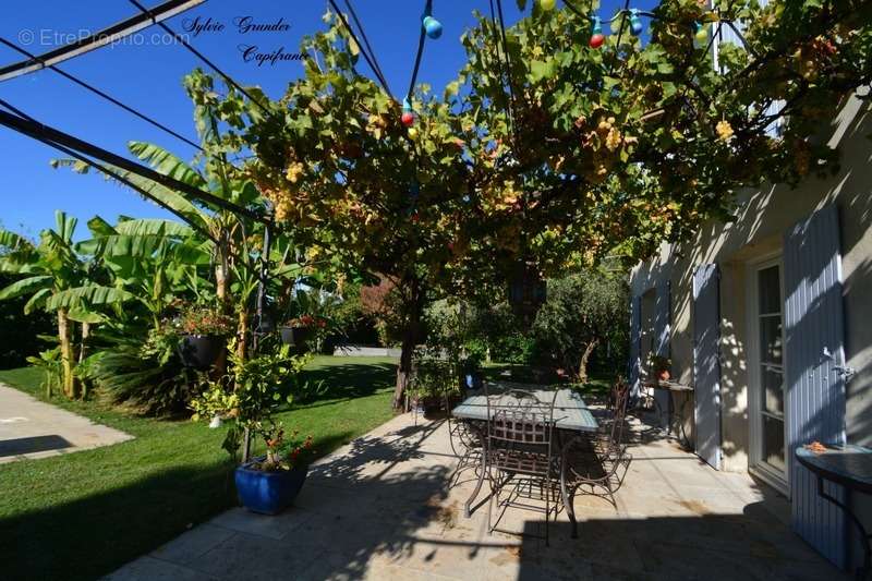 Maison à VILLELAURE