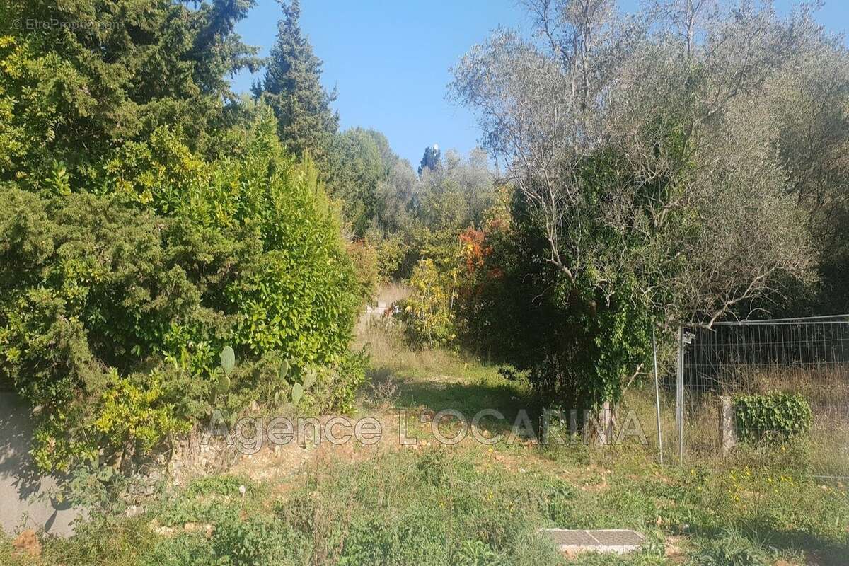 Terrain à LE CANNET