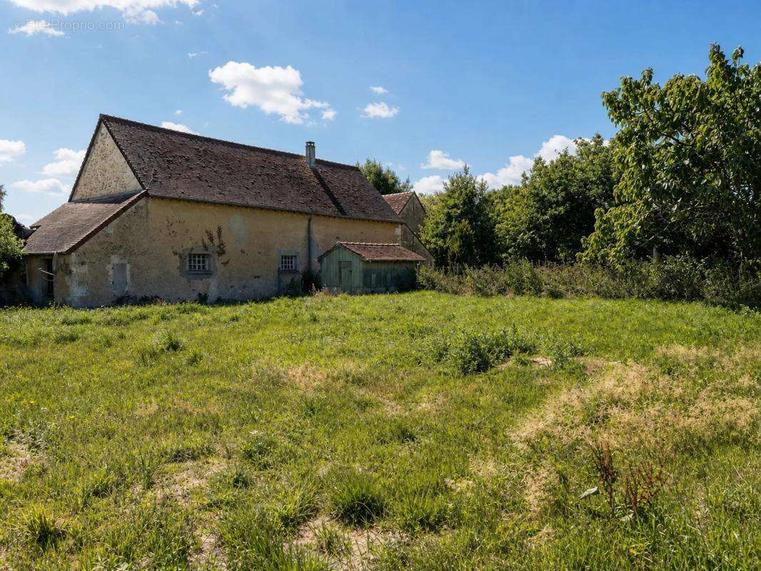Ancien corps de ferme - 131 m2 sur 7400m² - Perche en Nocé - photo 5