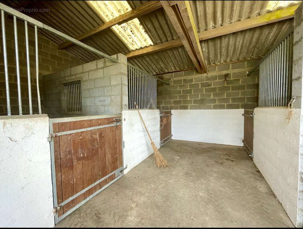 Maison à LE PIN-AU-HARAS