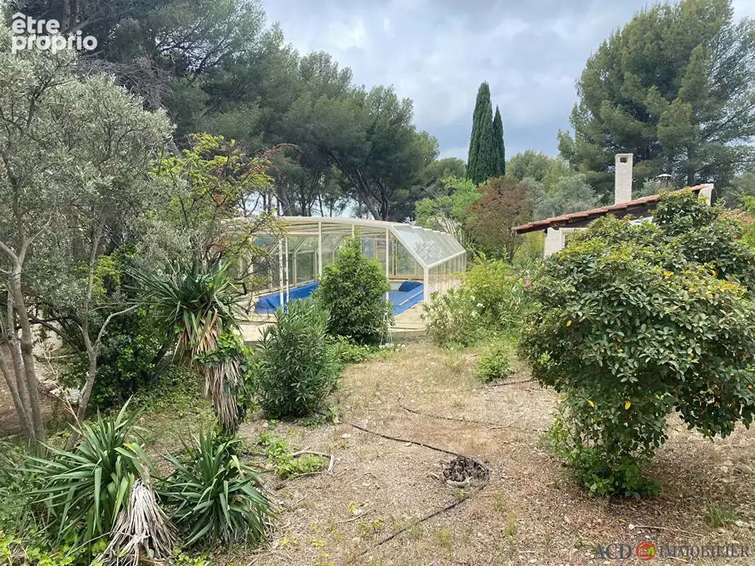 A vendre la fare les oliviers - terrain de 1329 m2 - photo 4