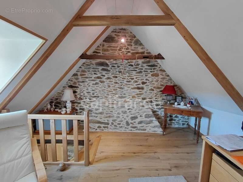 Maison à VIEILLEVIE