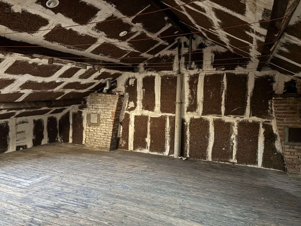 Limoges, quartier du Mas Loubier, parc Victor Thuillat - photo 15