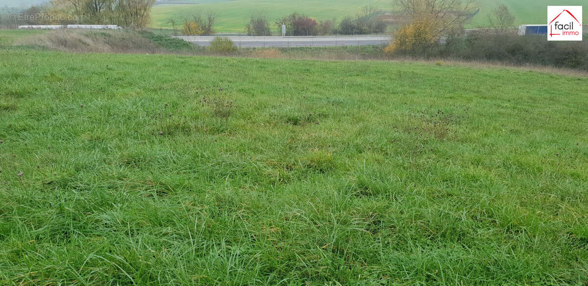 Terrain à SAINT-GEORGES