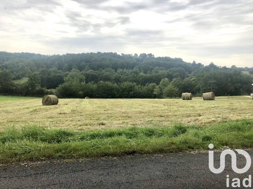 Photo 1 - Terrain à SAINT-JULIEN-DE-CREMPSE