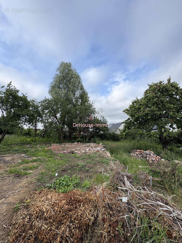 Terrain à LABEUVRIERE