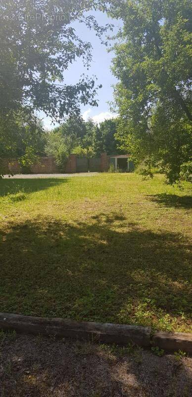 Terrain à LONGUEIL-SAINTE-MARIE