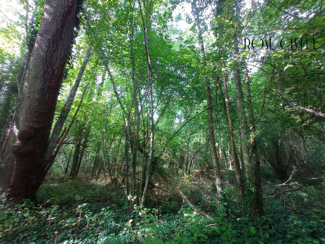 Terrain à NOGENT-LE-PHAYE