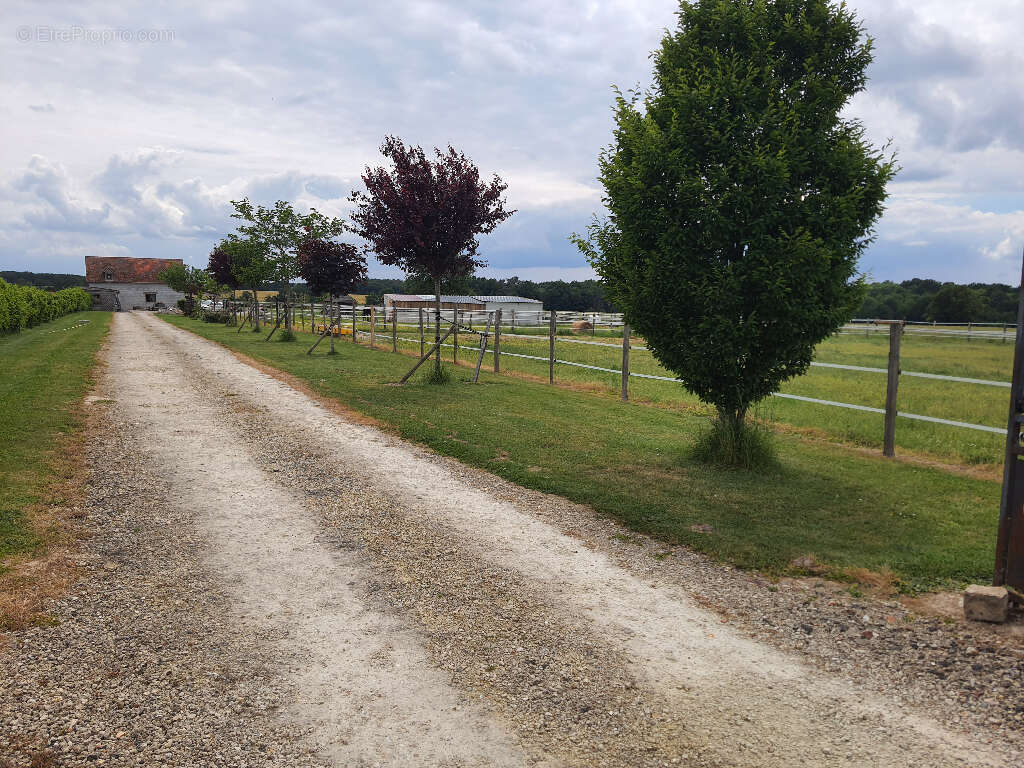Maison à SAINT-HIPPOLYTE