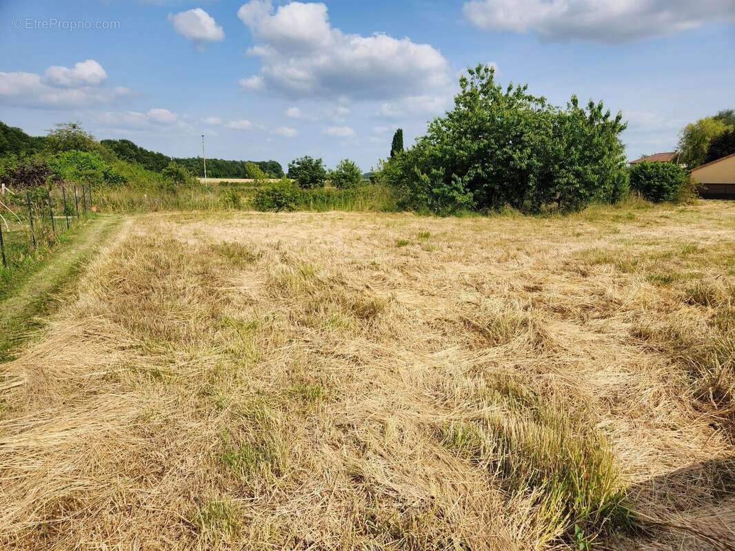 Terrain 1241 m² à Saint-Julien-L'ars  - photo 2