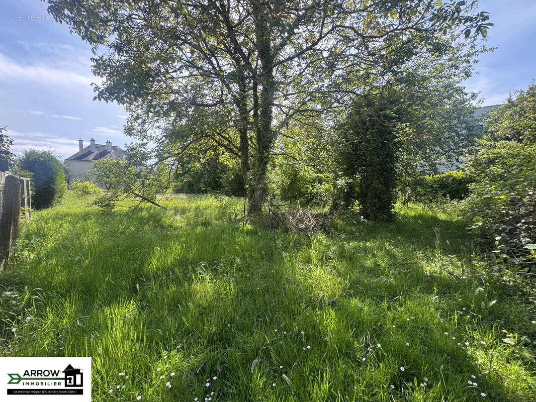 Terrain à LAILLE