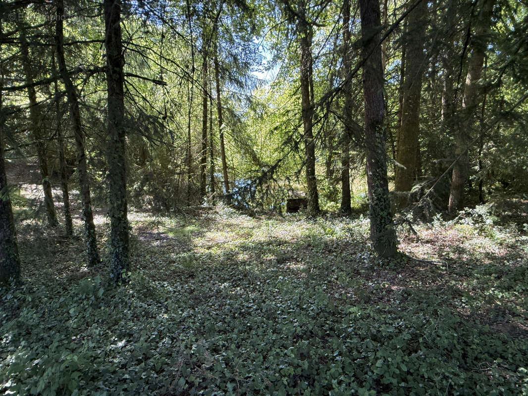 Terrain à LUBERSAC