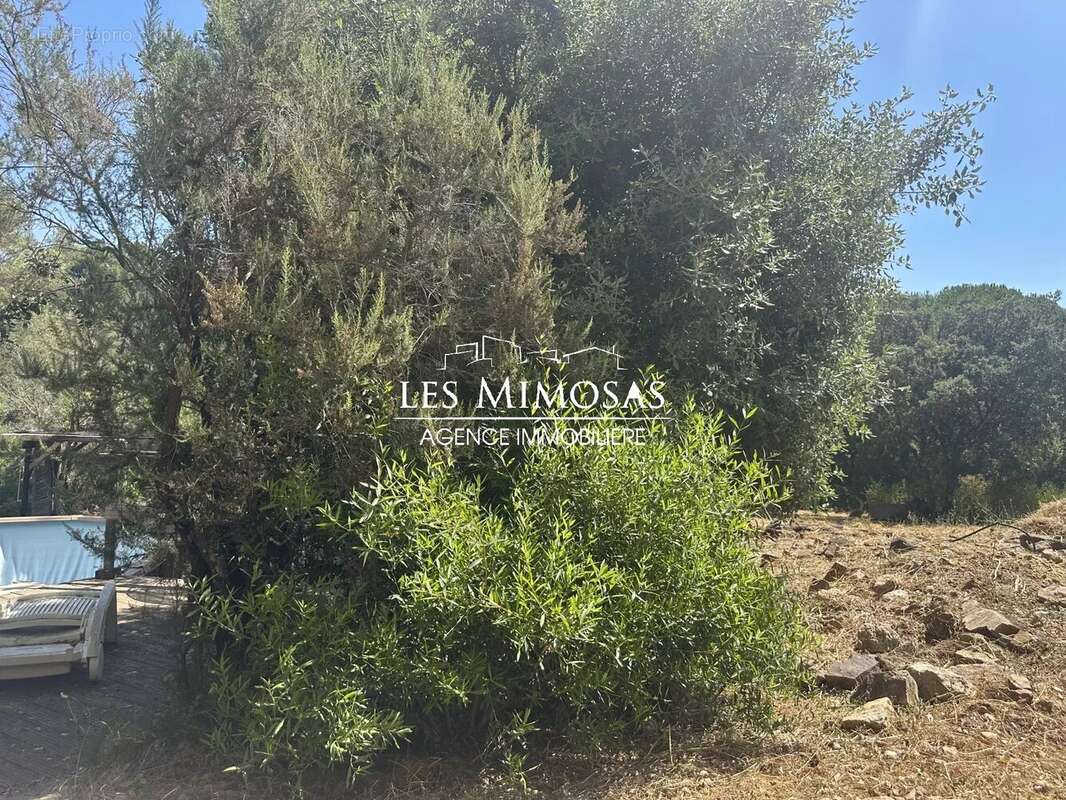 Maison à ROQUEBRUNE-SUR-ARGENS