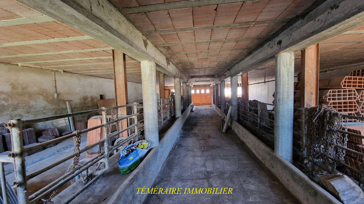 Maison à MONT-SUR-MONNET