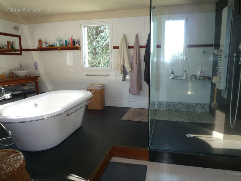 ARCY SAINTE RESTITUE (02) belle maison d'architecte de 291 m2 sur un terrain de 7000 m2 - photo 21