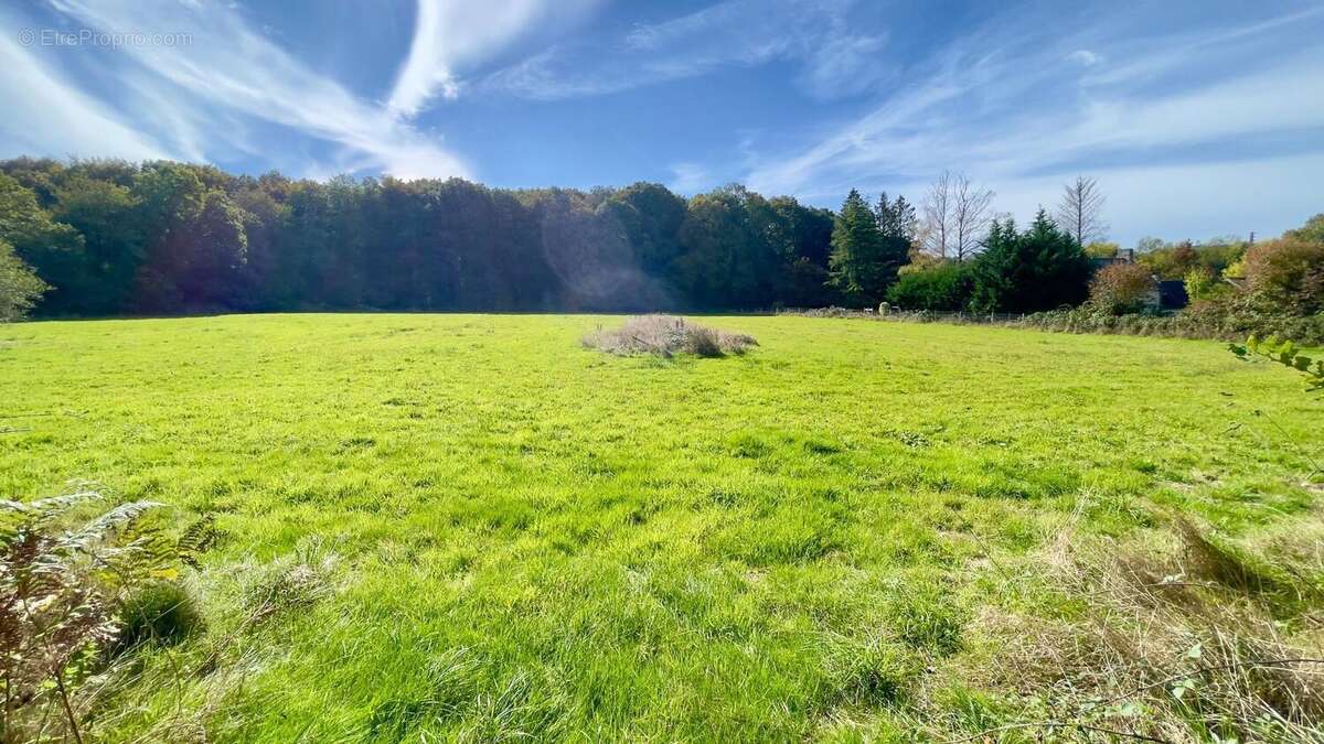 Photo 7 - Maison à SAINT-GEORGES-BUTTAVENT