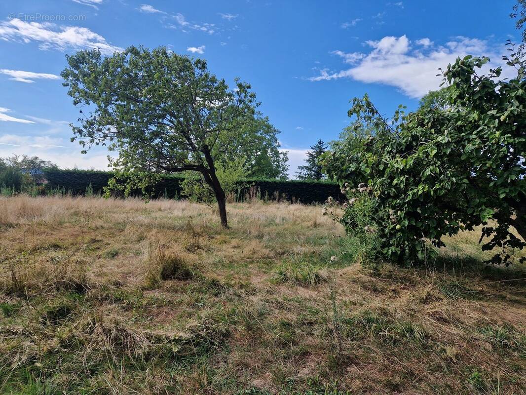 Terrain à RUFFEY-LES-BEAUNE
