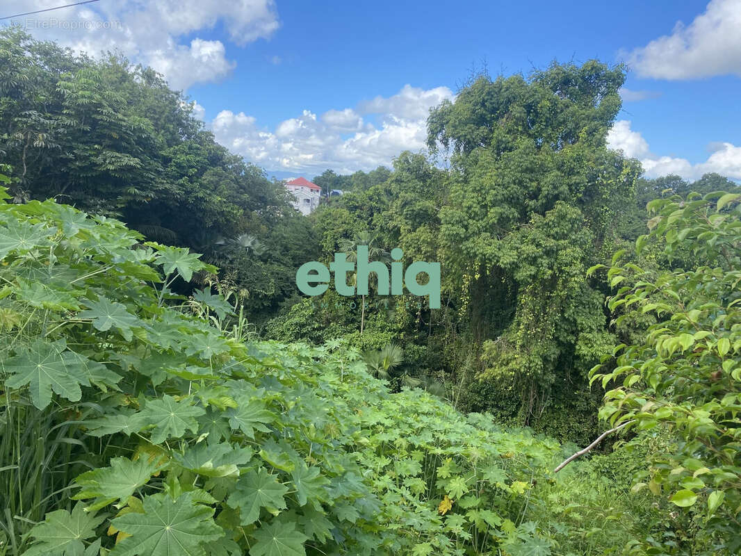 Terrain à LE GOSIER