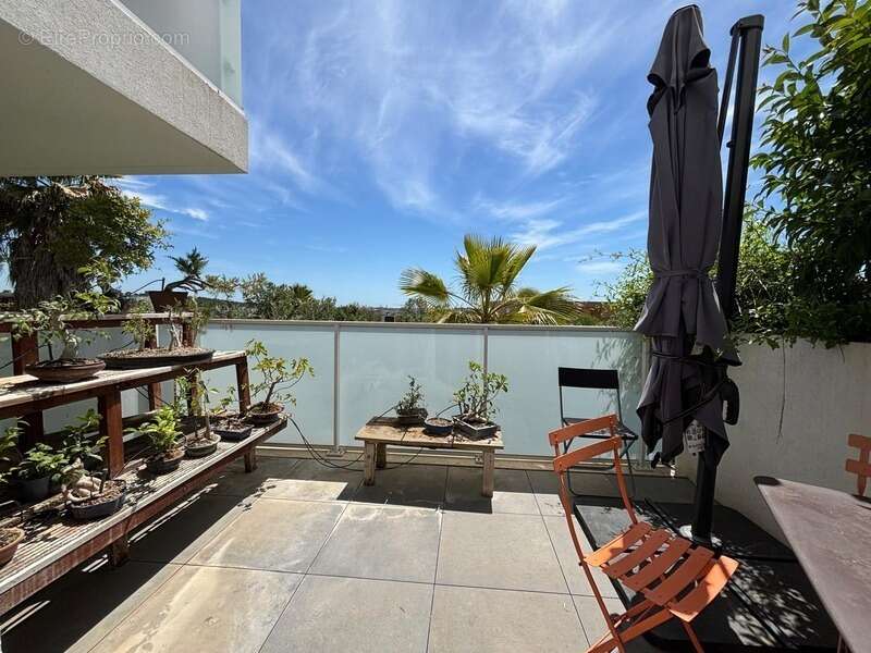 Appartement à MONTPELLIER