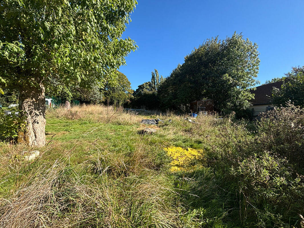 Terrain à SAINTE-GENEVIEVE