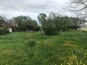 Terrain à SALLES-SUR-MER