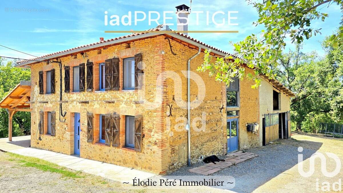 Photo 1 - Maison à MONTESQUIEU-VOLVESTRE