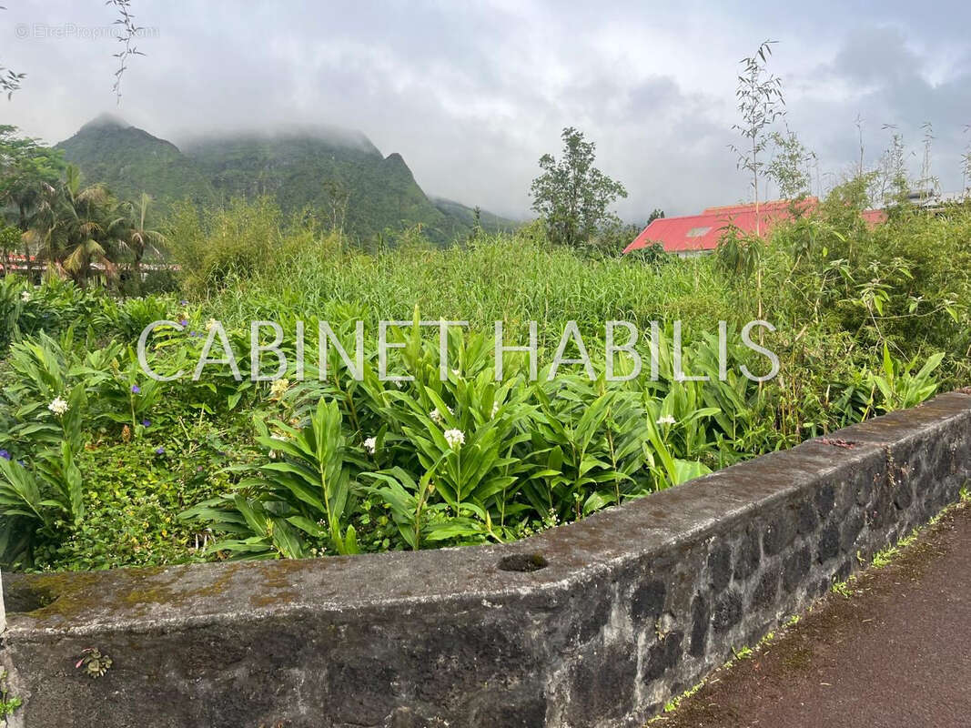 A vendre - terrain de 509 m2 environ - plaine des palmistes - 120 000 € - photo 2