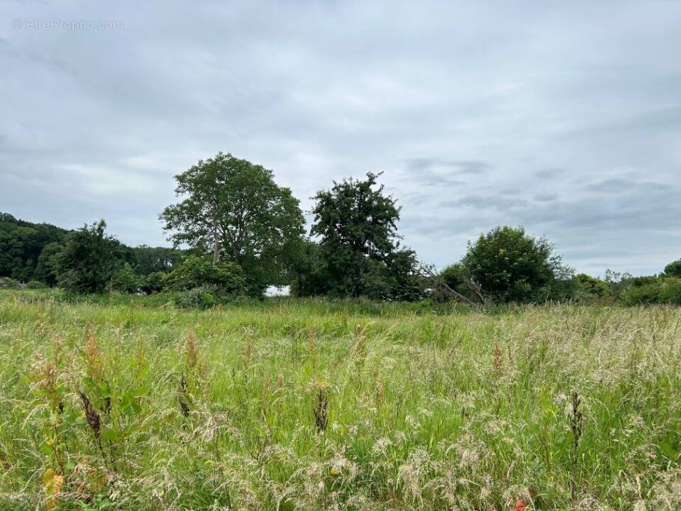 Terrain à LABEUVRIERE