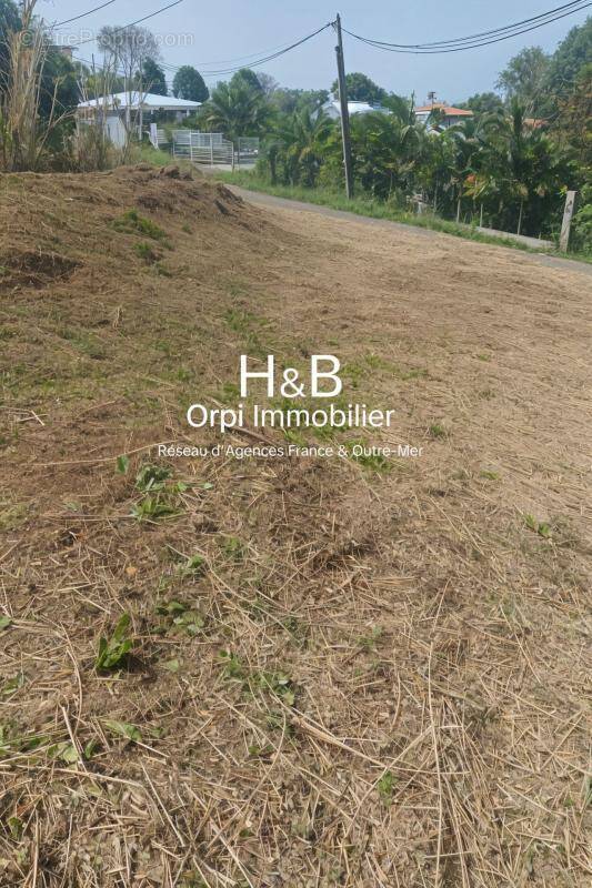 Terrain à LE FRANCOIS