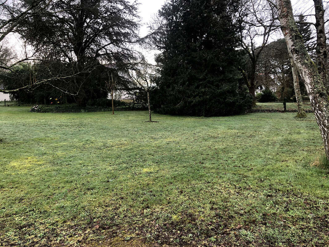 Maison à SAVIGNE-SUR-LATHAN